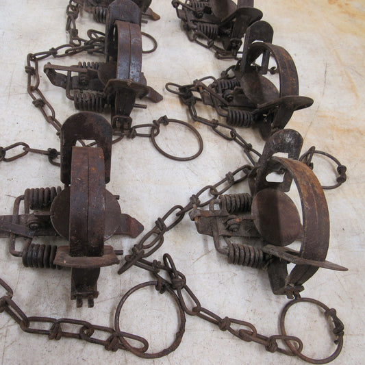 5 Used Blake and Lamb 1.5 Coil Spring Traps