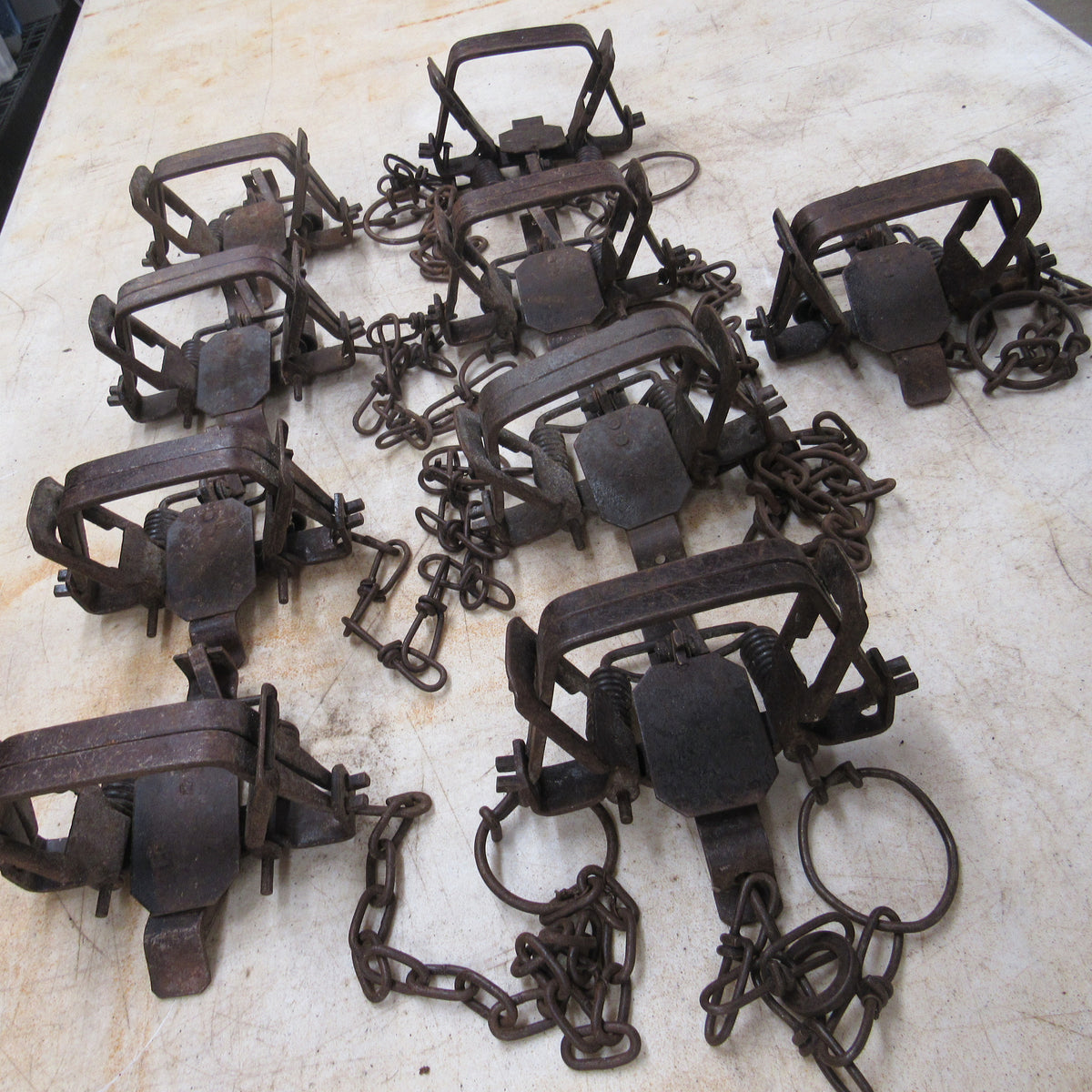 9 Used Northwoods 1.5 Square Jaw Traps