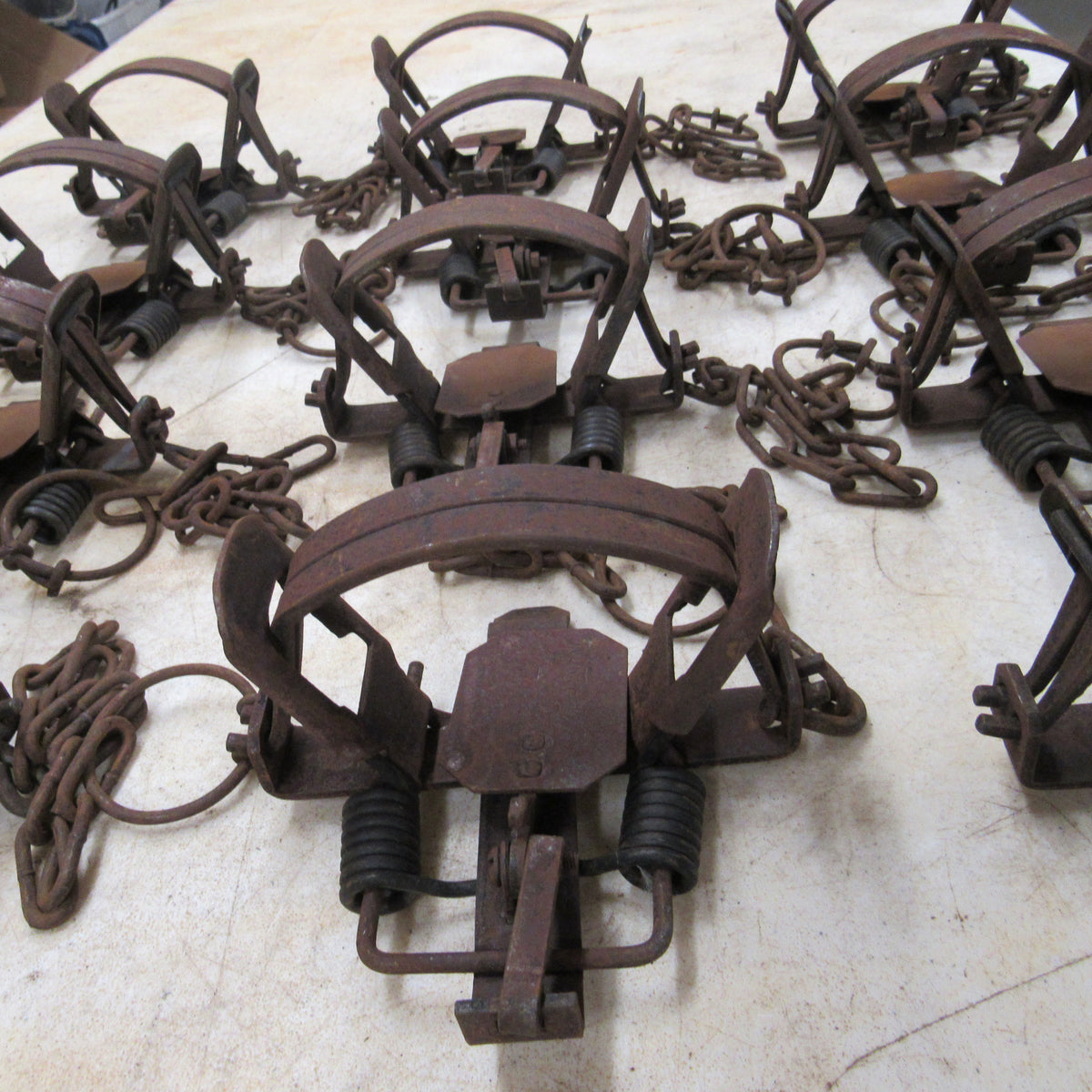 12 Used Northwoods 1.5 Coil Spring Traps