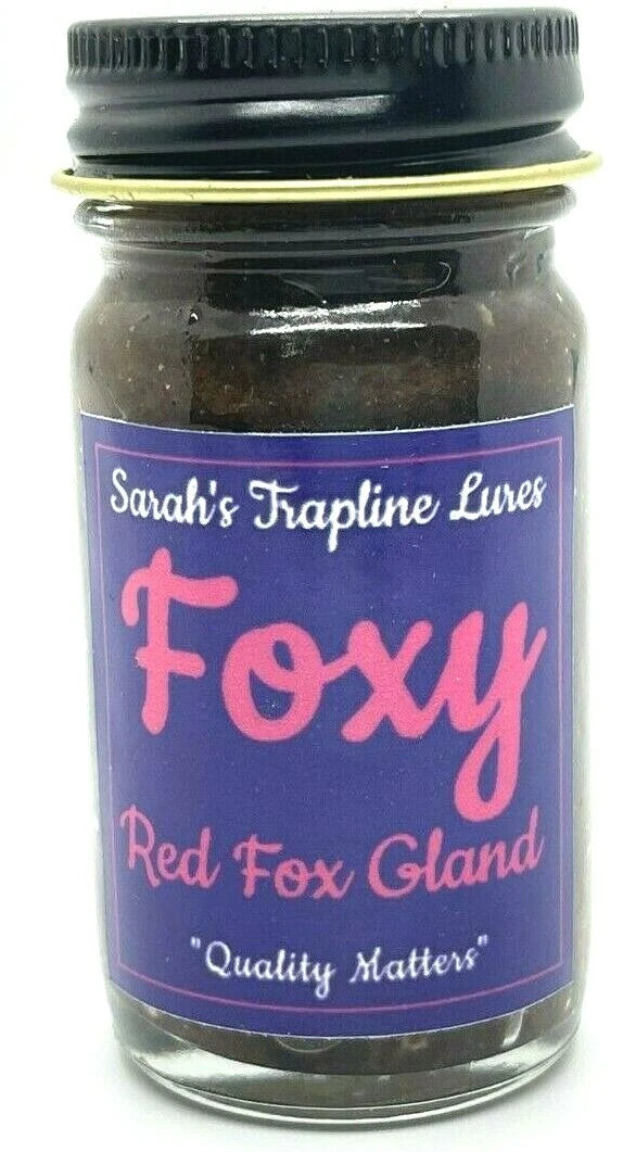 SheTraps Foxy Red Fox Gland Lure 1 ounce Bottle