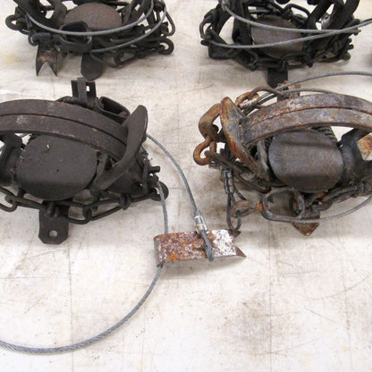 12 Used Blake and Lamb 1 - 1/2 Coilspring Traps With Anchors - Great Mink Trap