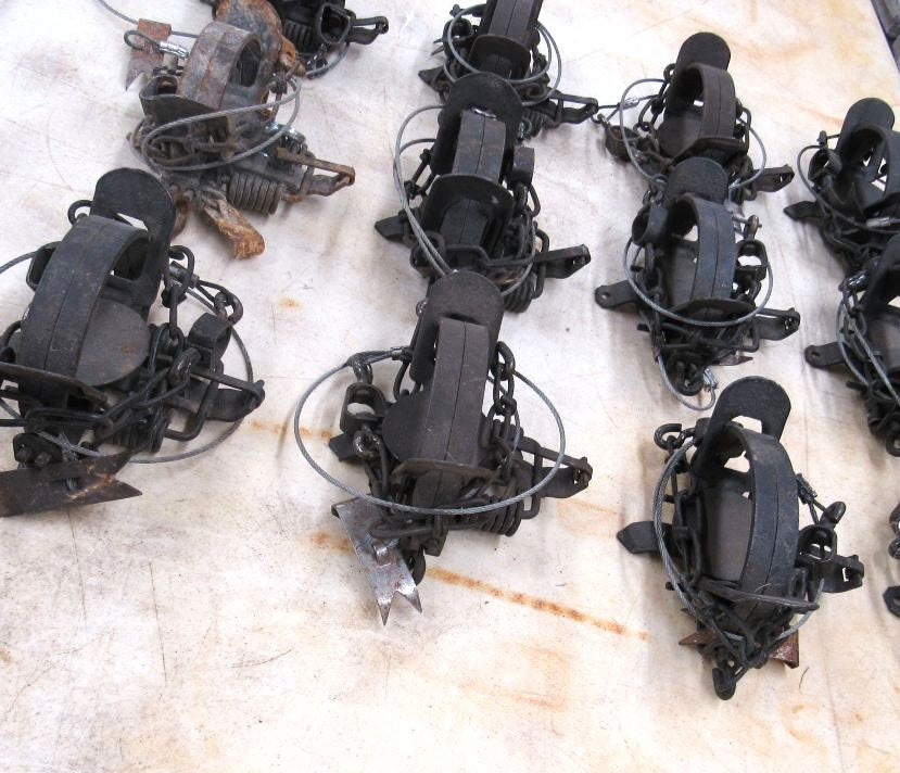 12 Used Blake and Lamb 1 - 1/2 Coilspring Traps With Anchors - Great Mink Trap