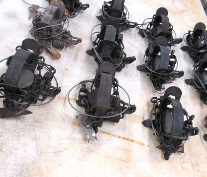 12 Used Blake and Lamb 1 - 1/2 Coilspring Traps With Anchors - Great Mink Trap