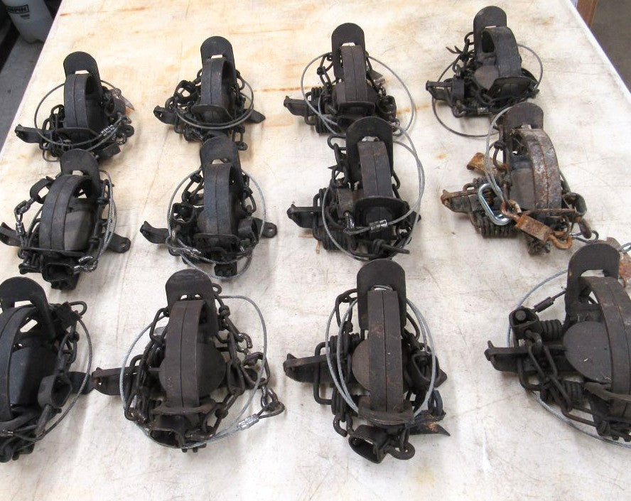 12 Used Blake and Lamb 1 - 1/2 Coilspring Traps With Anchors - Great Mink Trap