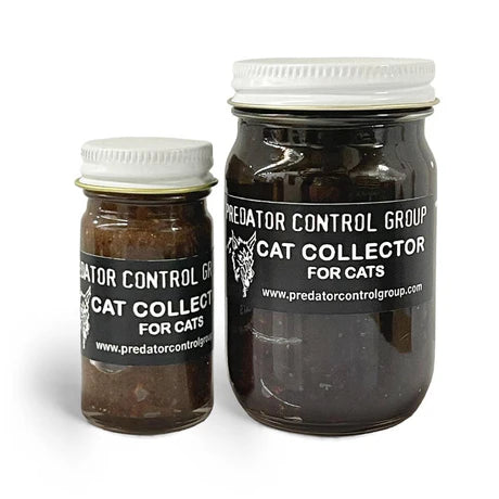 Cat Collector Lure for Bobcat Predator Control Group