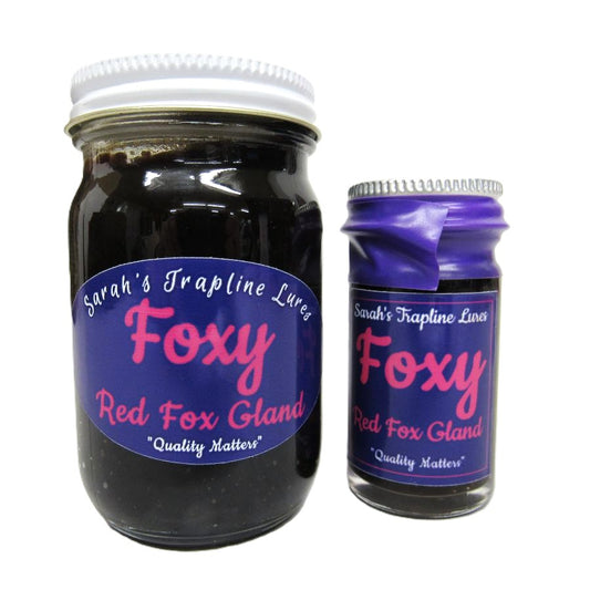 Foxy Red Fox Gland Lure SheTraps Sarahs Trapline Lures
