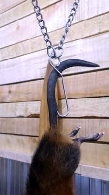 HAGz Tail Hook Trapping Supplies