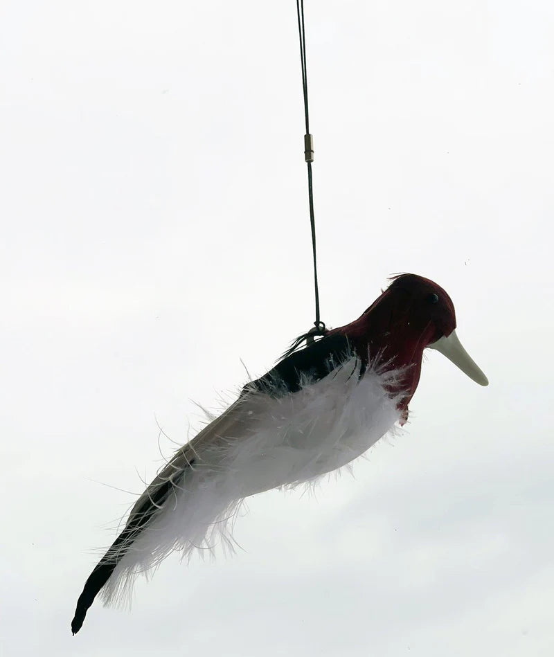 Kill Chirp Trap Call Miranda-Wells Master Trappers