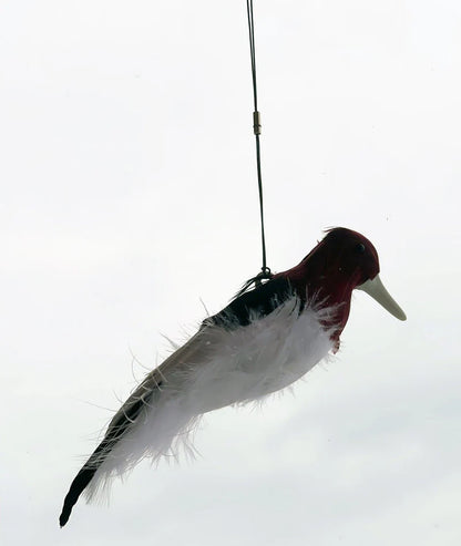 Kill Chirp Trap Call Miranda-Wells Master Trappers