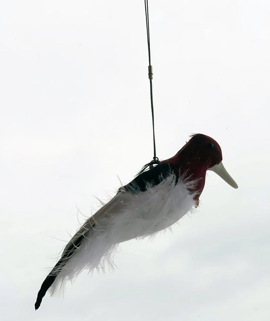 Kill Chirp Trap Call Miranda-Wells Master Trappers