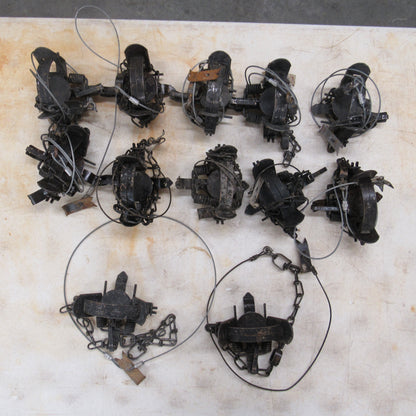 12 Used Duke 1 - 1/2 Coilspring Traps With Anchors Attached - Great Mink Trap