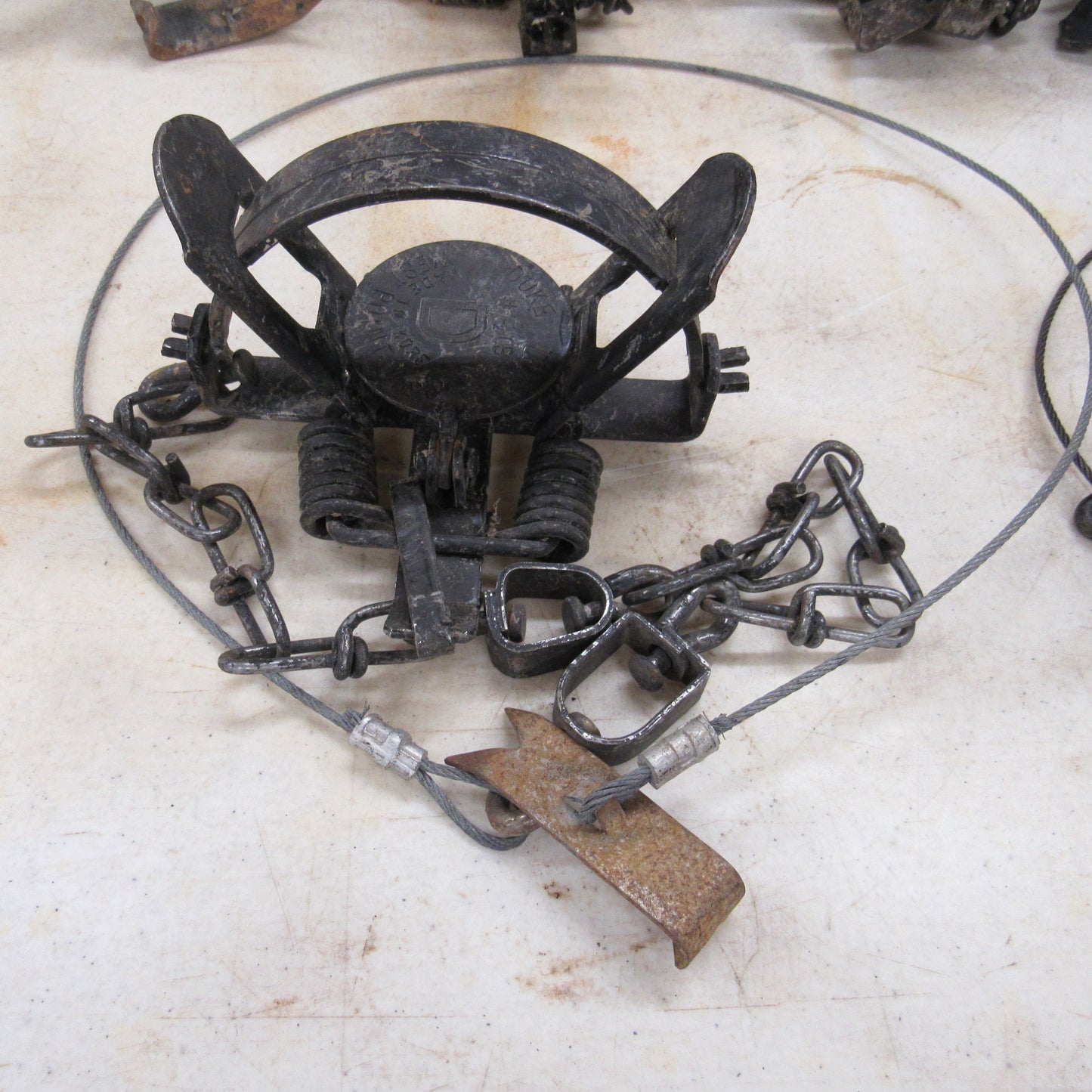 12 Used Duke 1 - 1/2 Coilspring Traps With Anchors Attached - Great Mink Trap