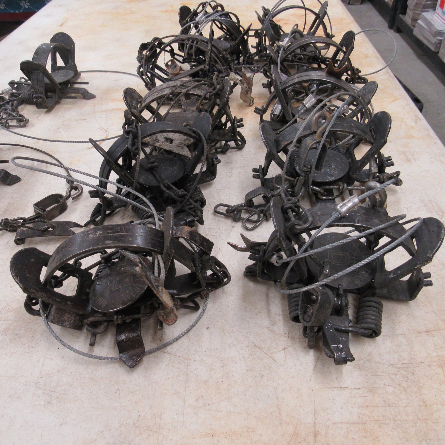 12 Used Duke 1 - 1/2 Coilspring Traps With Anchors Attached - Great Mink Trap