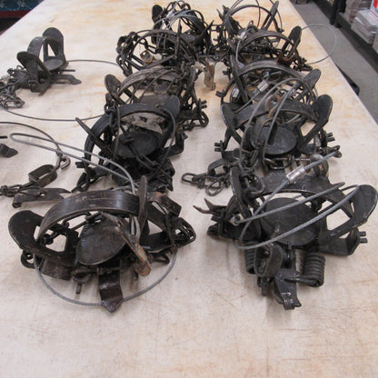 12 Used Duke 1 - 1/2 Coilspring Traps With Anchors Attached - Great Mink Trap