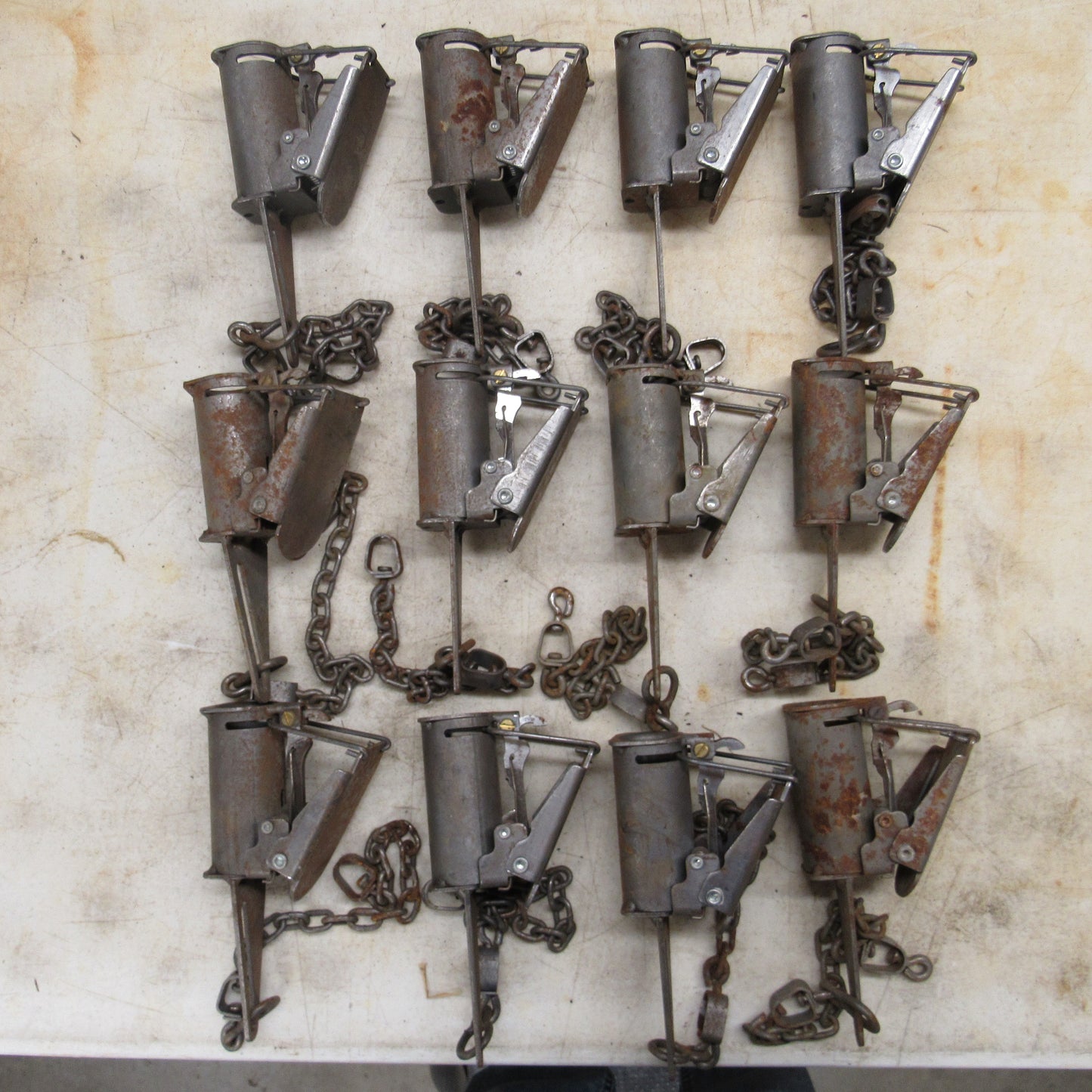12 New with Surface Rust FB1 Dog Proof Traps