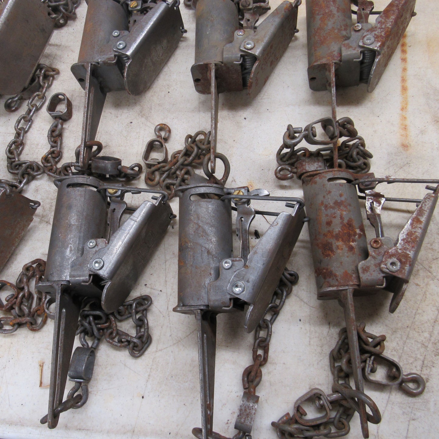 12 New with Surface Rust FB1 Dog Proof Traps
