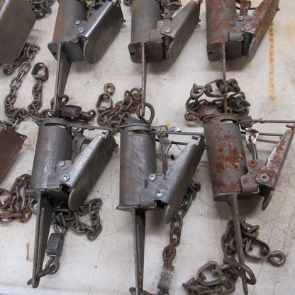 12 New with Surface Rust FB1 Dog Proof Traps