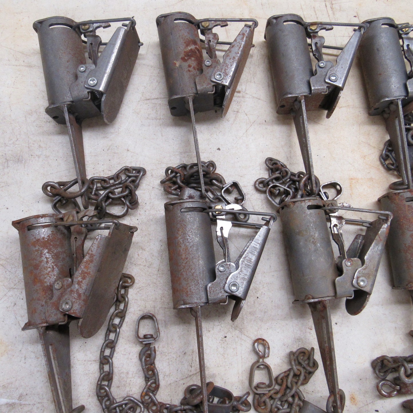 12 New with Surface Rust FB1 Dog Proof Traps