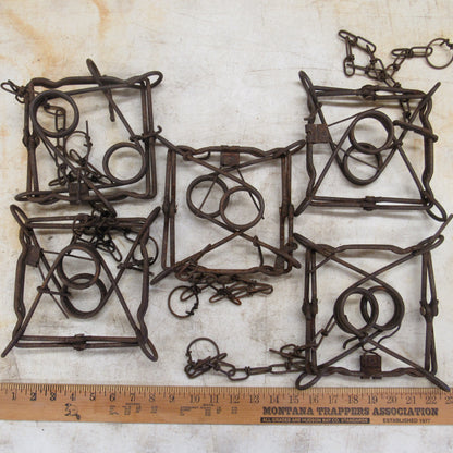 5 Used Northwoods 160 Body Grip Traps