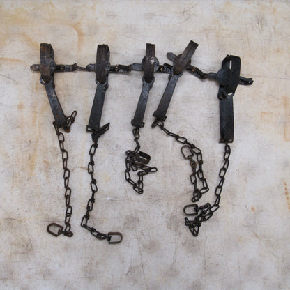 5 Used Duke #1 Long Spring Traps
