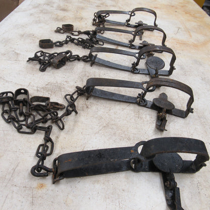 5 Used Duke #1 Long Spring Traps