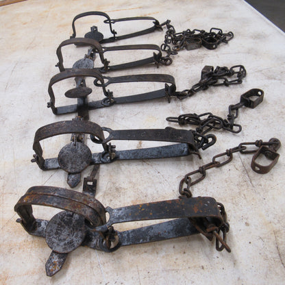 5 Used Duke #1 Long Spring Traps