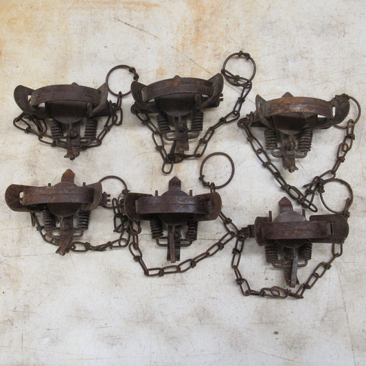 5 Used Blake and Lamb 1.5 Coil Spring Traps