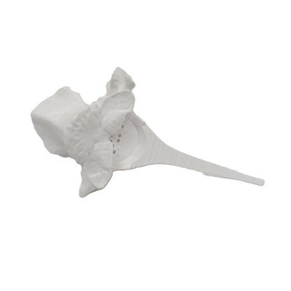 White T Bone - Synthetic Visual Lure Holder