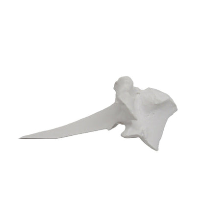 White T Bone - Synthetic Visual Lure Holder