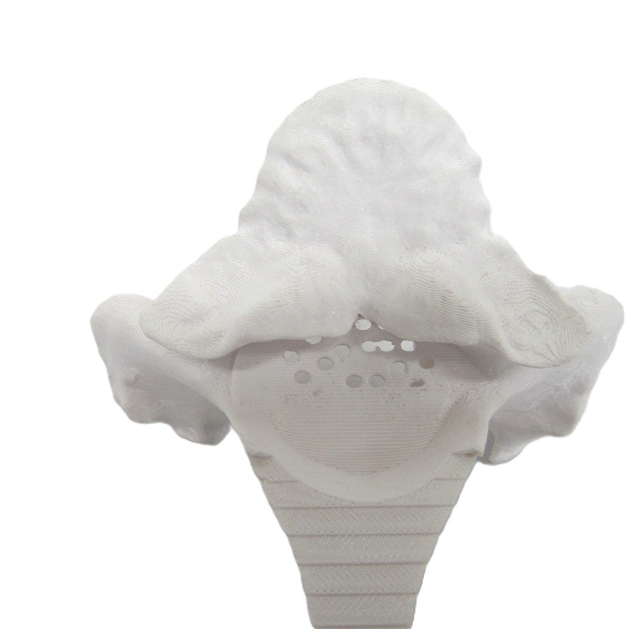 White T Bone - Synthetic Visual Lure Holder