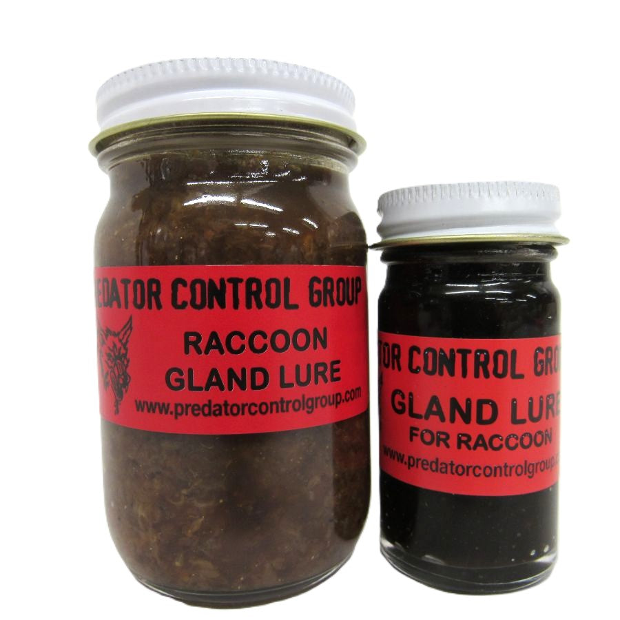 Gland Lure for Raccoon Predator Control Group