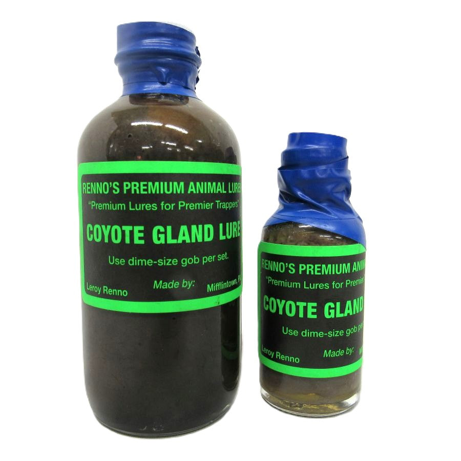Coyote Gland Lure Renno Lures