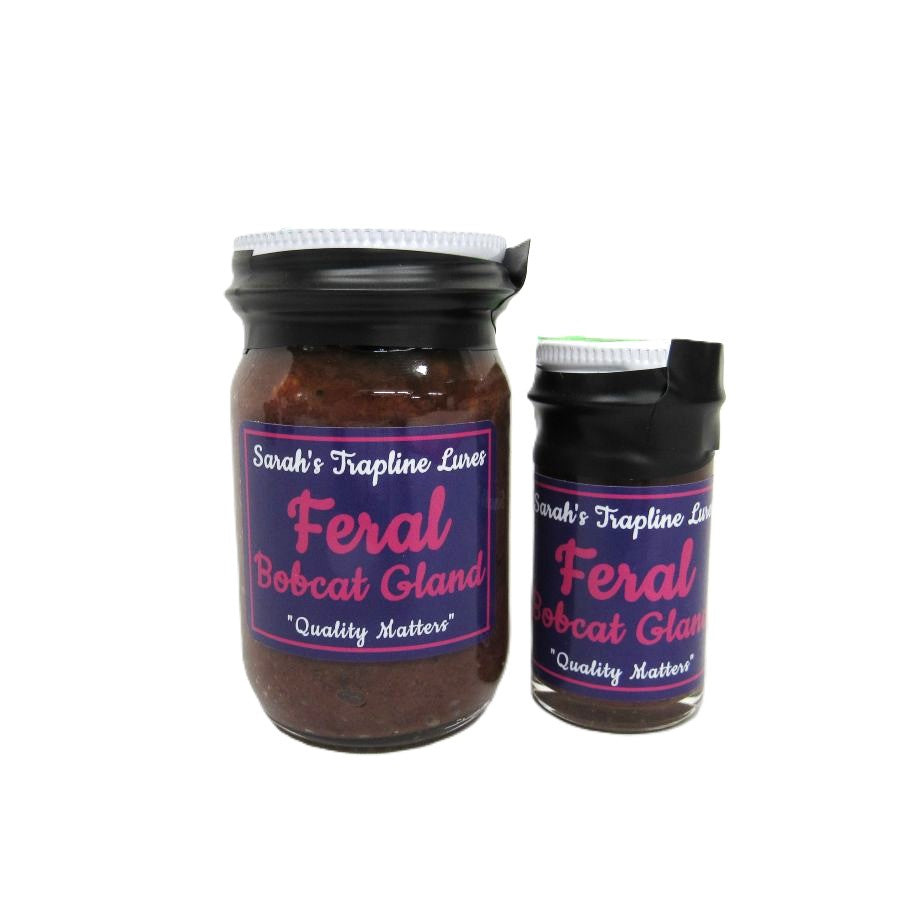 Feral Bobcat Gland SheTraps Sarahs Trapline Lures