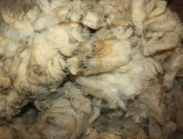 Sheep Wool Natural Lure Scent Holder