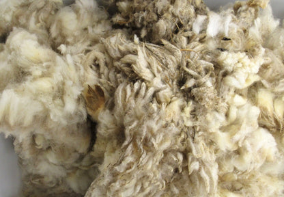 Sheep Wool Natural Lure Scent Holder